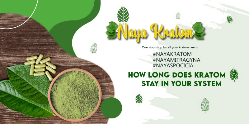 How Long Does Kratom Stay in Your System
