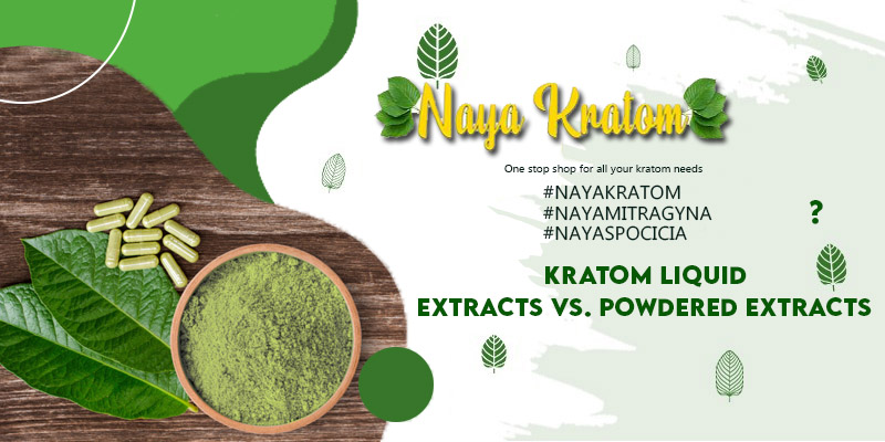 Kratom Liquid Extracts vs Powdered Extracts