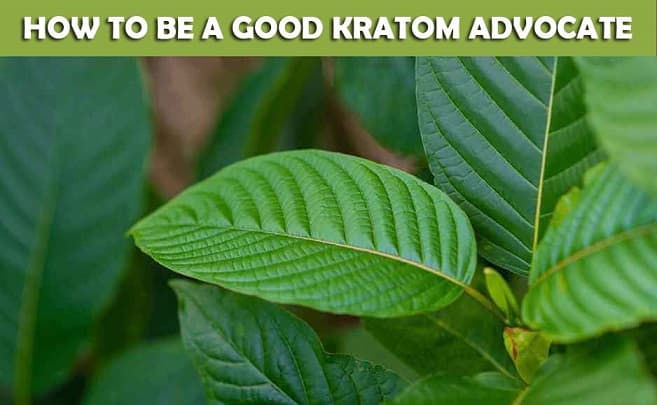 HOW TO BE A GOOD KRATOM ADVOCATE