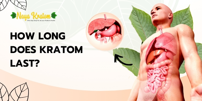 How Long Does Kratom Last